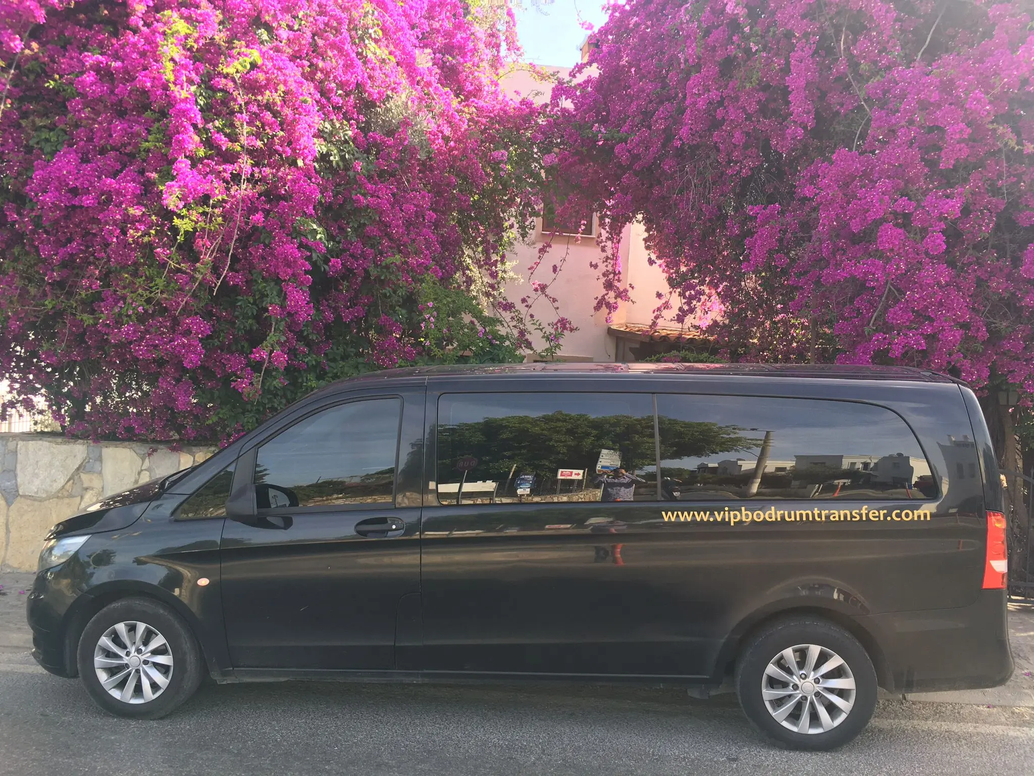 Meşelik Vip Transfer